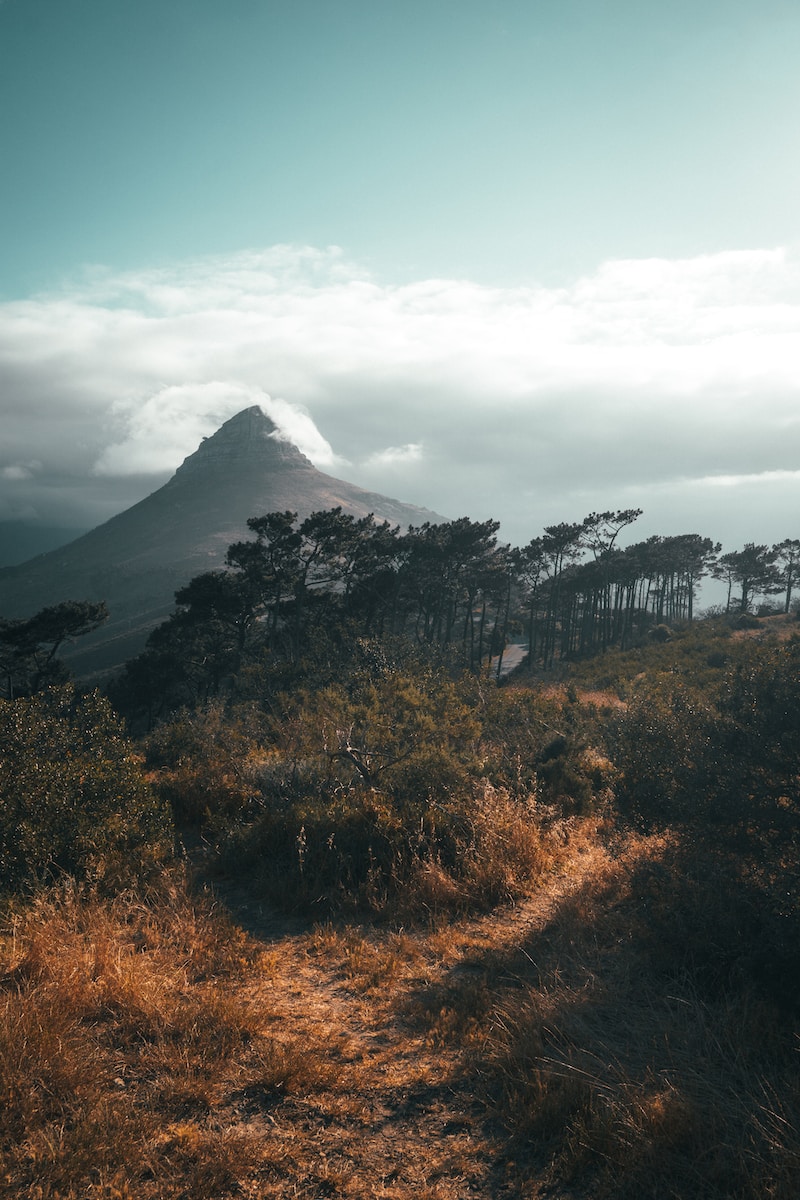 green trees near mountain under white clouds during daytime